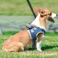 Arnês ajustável para cães cães de clipe de cães